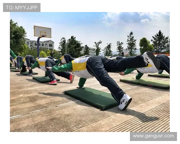 深度解析Meiko的辅助风格与战术价值全面剖析团队协作核心力量