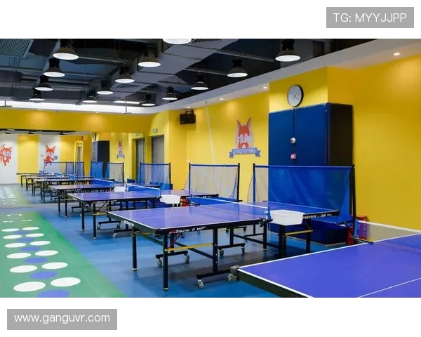 乒乓球技术解析与训练方法提升技巧全攻略 从入门到高手之路